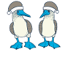 Joyeux Noël