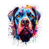 American Bulldog Colorful