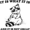it is what it is and it is not great meme quote