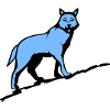 Wolf Wolf