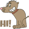 Funny dog hi
