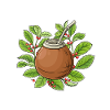 Yerba mate tea