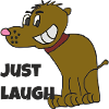 lustiger hund laugh