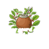 Yerba mate tea