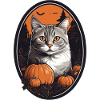 Chat d’Halloween