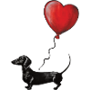Illustrazione del bassotto con palloncino a cuore
