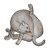 enluminure toilette chat