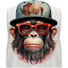 Monkey Geek