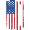 Great Dane Us Flag
