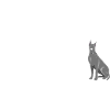 Easily Distracted By Great Dane