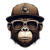 Monkey Geek