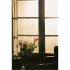 sunlight