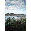 mer