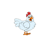 Drôle de poulet disant poulet