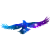 Galaxy Eagle