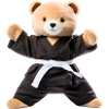 Karate-Bär