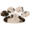 Le chien et le papillon