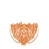 Beard Lover Bearded Man Ginger