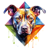 Pitbull