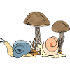 Snails