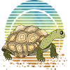 Tortoise