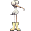 norddeutsche Möwe Langnasenmöwe