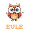 Nachteule Eule Eulen Vogel