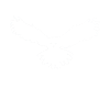 Nachteule Eule Eulen Vogel
