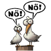 Möwe und Möwe Nö