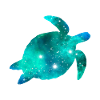 Galaxy Turtle