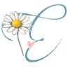 Lettre E Daisy Heart