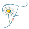 Lettre F Cœur de Marguerite
