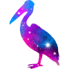 Galaxy Pelican
