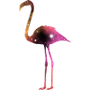 Galaxy Flamingo