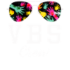 VBS Crew