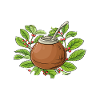 Yerba mate tea