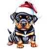 Rottweiler Dog Puppy Christmas Dogs