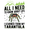 Tarantula Spider Tarantula