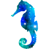 Galaxy Sea Horse
