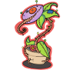 Voodoo Doll Carnivorous Plant