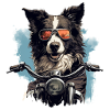 Biker Collie Cool