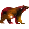 Galaxy Bear