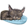 Chat endormi