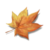 Autumn leaf