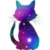 Galaxy Cat