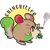 Chinchiller Chinchilla Weed Smoking Smoking
