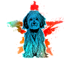 Havanese Retro