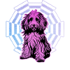 Havanese Retro