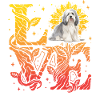Havanese Dog Love