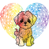Havanese dog